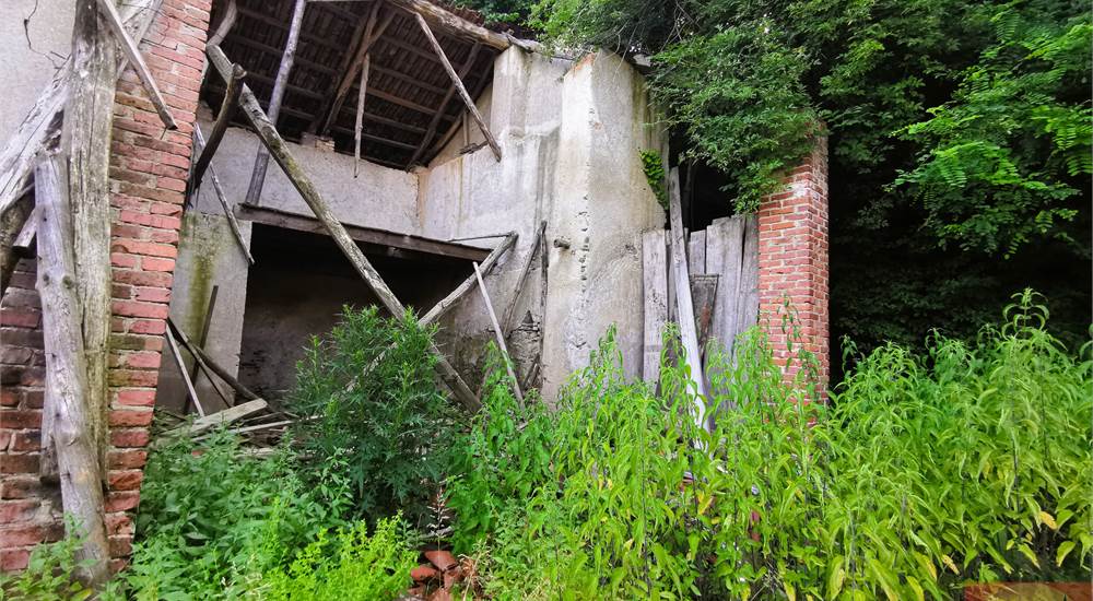 Casa D
