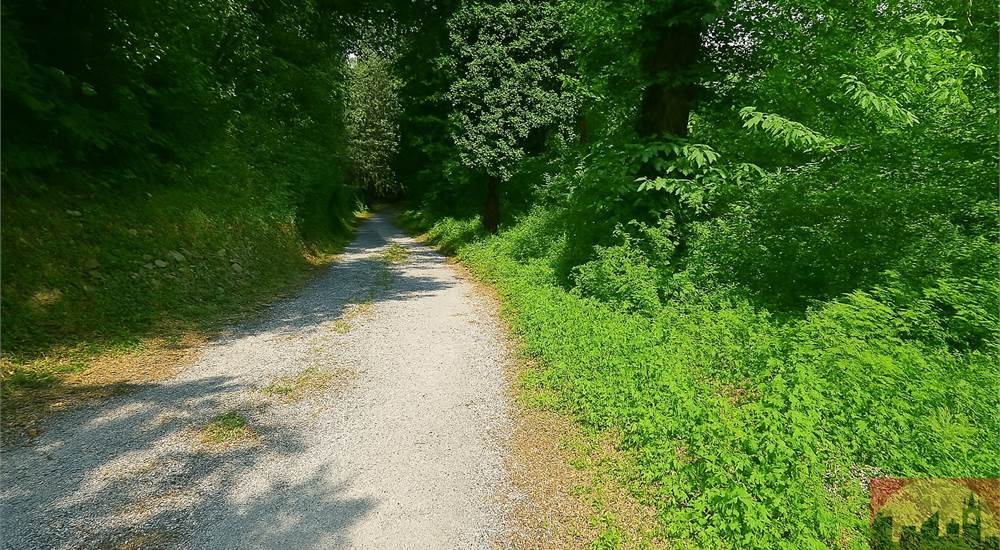 Strada privata di accesso