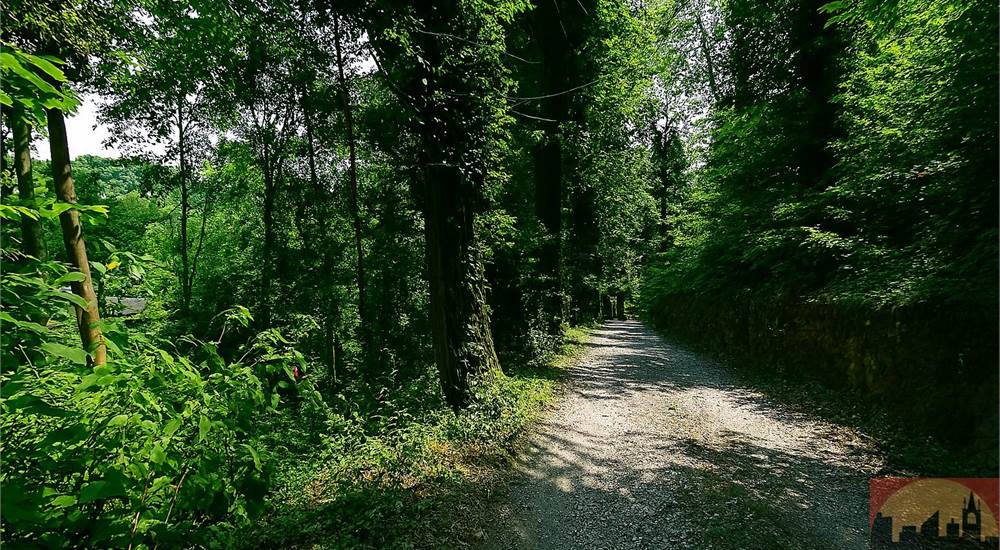 Strada privata di accesso