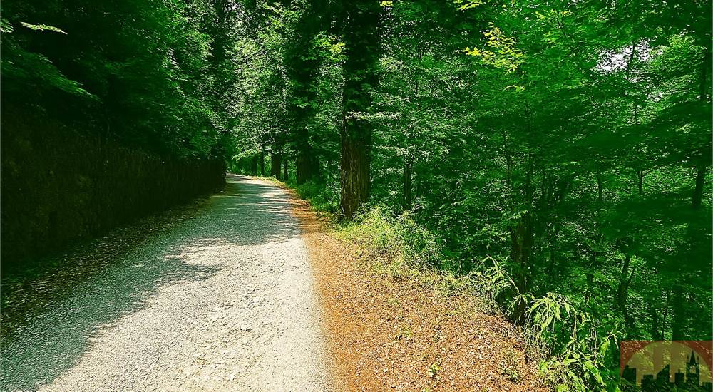 Strada privata di accesso