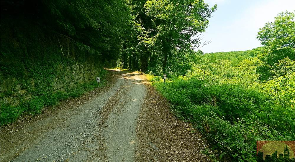 Strada privata di accesso