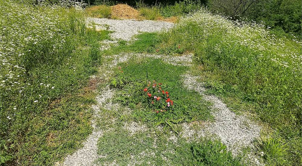 Parcheggio esterno