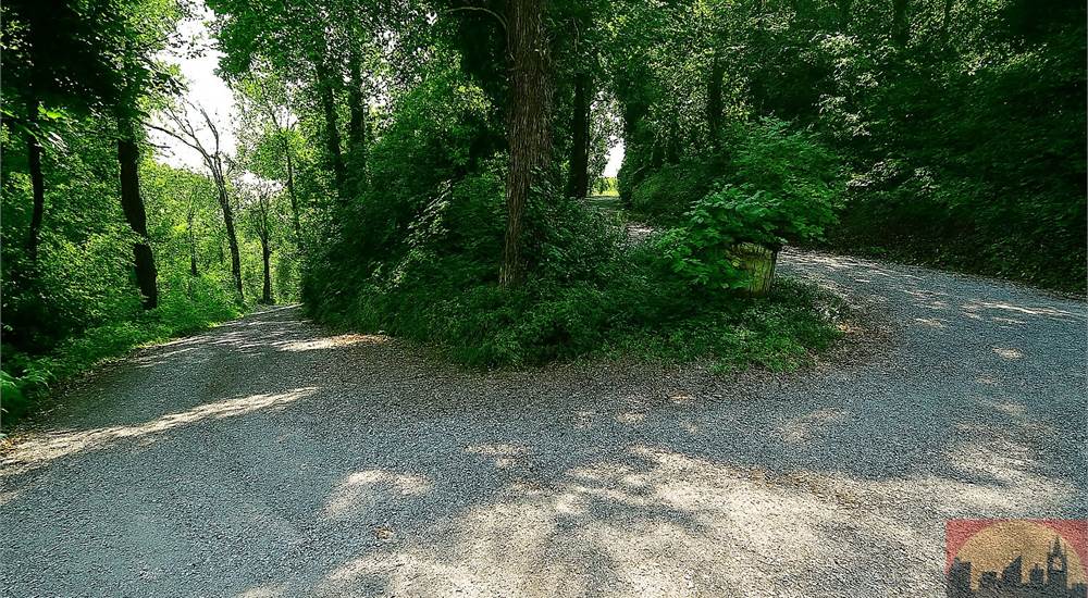 Strada privata di accesso