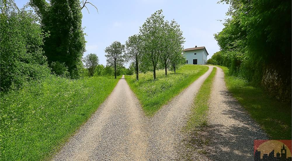 Ipotesi strada di accesso autonoma alla Villa d'ep
