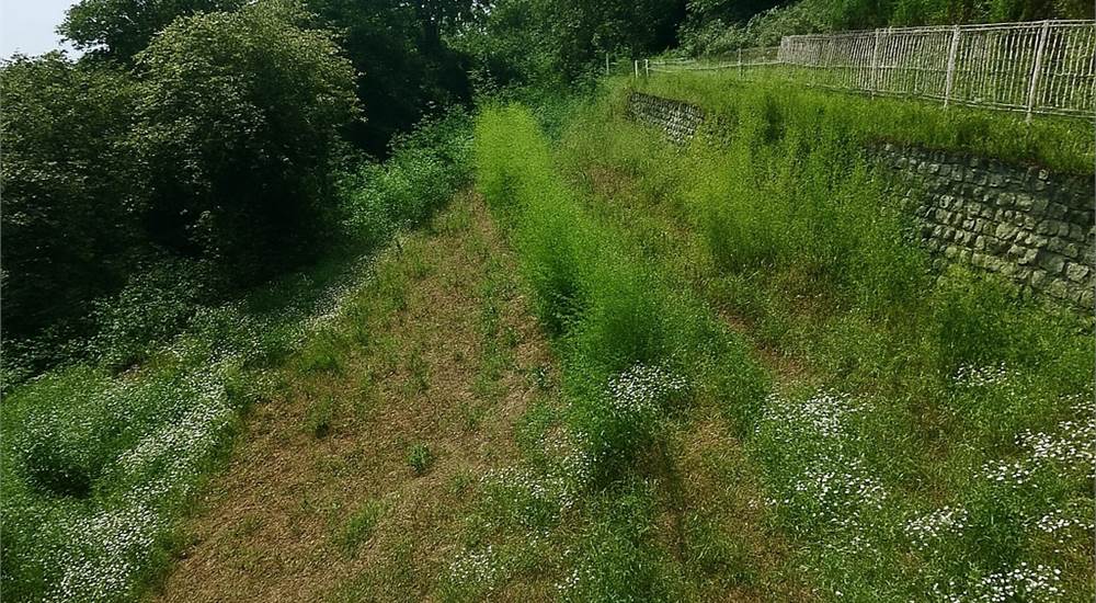 Villa d'epoca Terreno