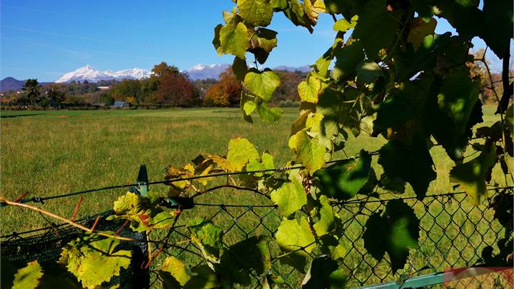 PROPRIETÀ COLLINARE DI 1.400 MQ CON STRUTTURA ATTREZZATA E POZZO