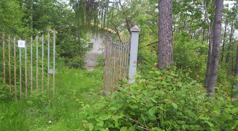Photo 21