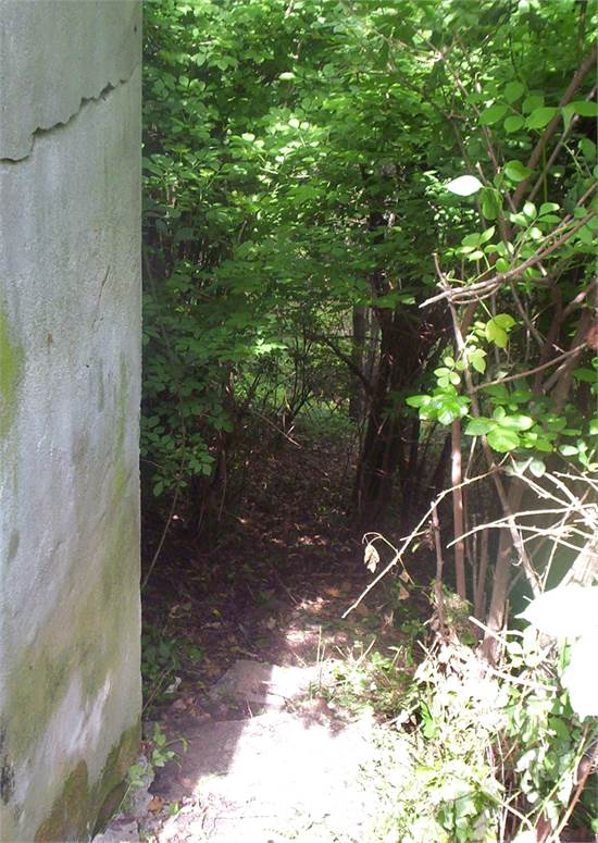 Photo 33